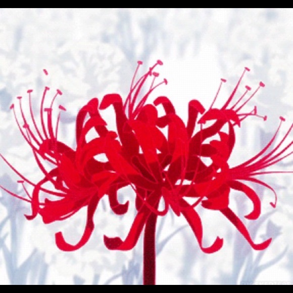 Meet your Posher, Julian - Picture 1 of 1